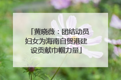 黄晓薇：团结动员妇女为海南自贸港建设贡献巾帼力量