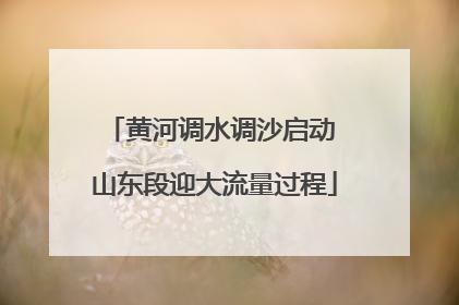 黄河调水调沙启动 山东段迎大流量过程