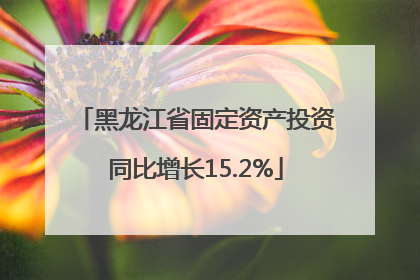 黑龙江省固定资产投资同比增长15.2%