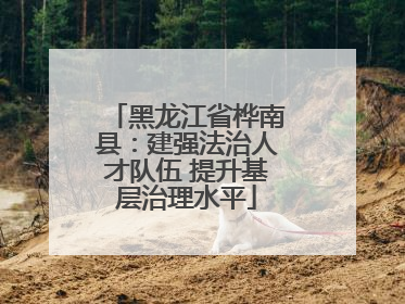 黑龙江省桦南县：建强法治人才队伍 提升基层治理水平
