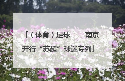 （体育）足球——南京开行“苏超”球迷专列