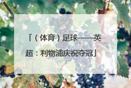 （体育）足球——英超：利物浦庆祝夺冠