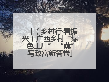 （乡村行·看振兴）广西乡村“绿色工厂” “蔬”写致富新答卷