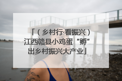 （乡村行·看振兴）江西赣县小鸡蛋“孵”出乡村振兴大产业