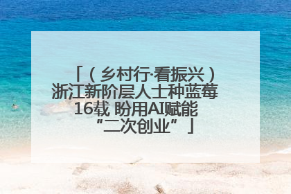 （乡村行·看振兴）浙江新阶层人士种蓝莓16载 盼用AI赋能“二次创业”