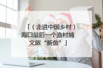 （走进中国乡村）海口最后一个渔村捕文旅“新鱼”