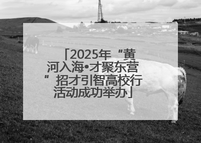 2025年“黄河入海•才聚东营”招才引智高校行活动成功举办