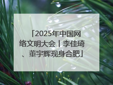 2025年中国网络文明大会丨李佳琦、董宇辉现身合肥