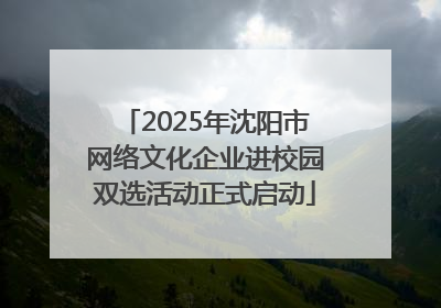 2025年沈阳市网络文化企业进校园双选活动正式启动