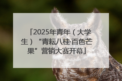 2025年青年（大学生）“青耘八桂·百色芒果”营销大赛开幕
