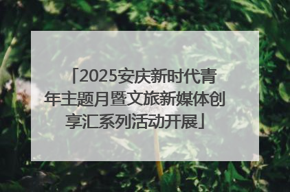 2025安庆新时代青年主题月暨文旅新媒体创享汇系列活动开展