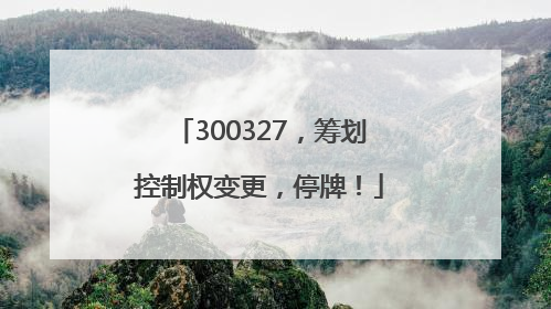 300327，筹划控制权变更，停牌！