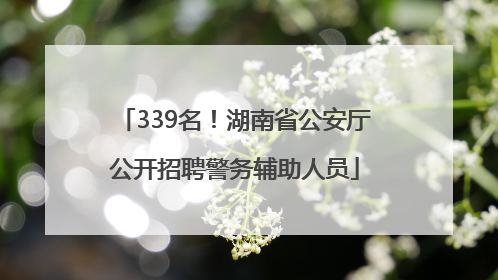 339名！湖南省公安厅公开招聘警务辅助人员