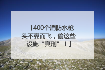 400个消防水枪头不翼而飞，偷这些设施“真刑”！