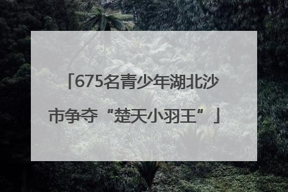 675名青少年湖北沙市争夺“楚天小羽王”