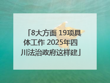 8大方面 19项具体工作 2025年四川法治政府这样建