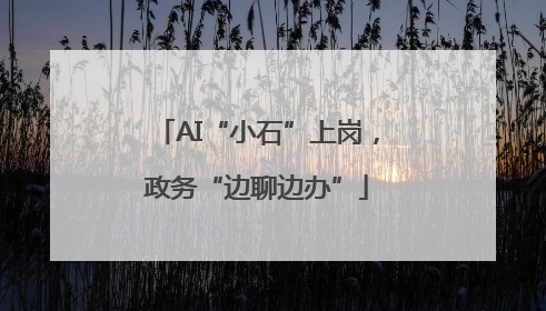 AI“小石”上岗，政务“边聊边办”