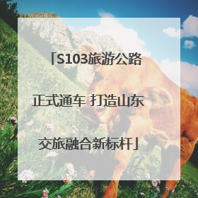 S103旅游公路正式通车 打造山东交旅融合新标杆