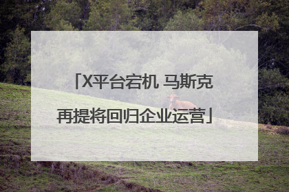 X平台宕机 马斯克再提将回归企业运营