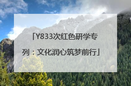 Y833次红色研学专列：文化润心筑梦前行